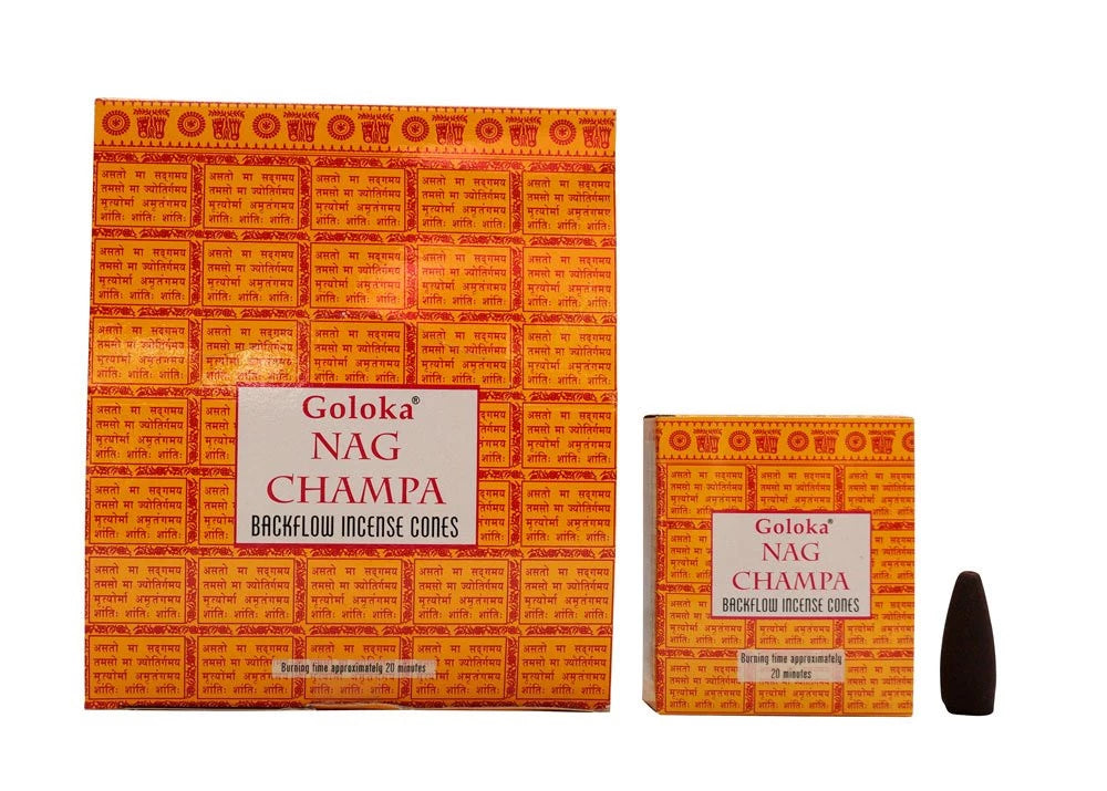 Back Flow Conos Goloka Nag Champa x Unid.