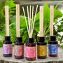 Difusor Aromanza de 60 ml Bto x 28