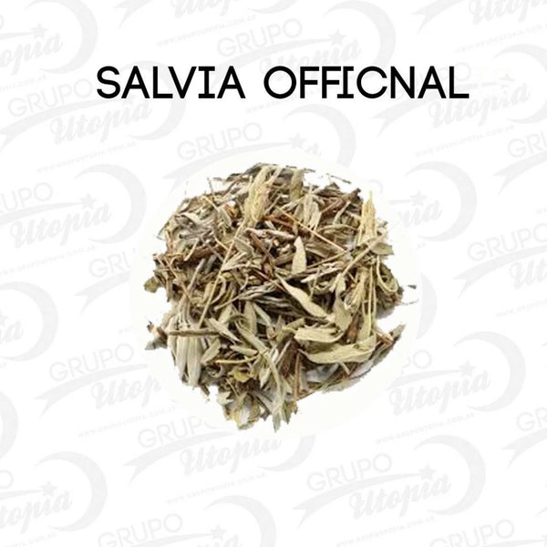 Salvia Blanca x 1 kg.