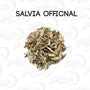 Salvia Blanca x 1 kg.